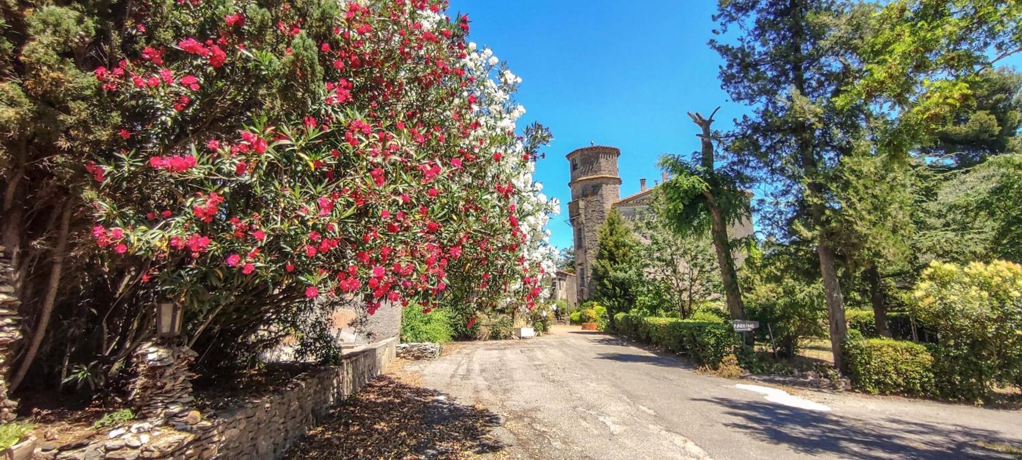 Chateau Saint-Martin Каркассон Экстерьер фото